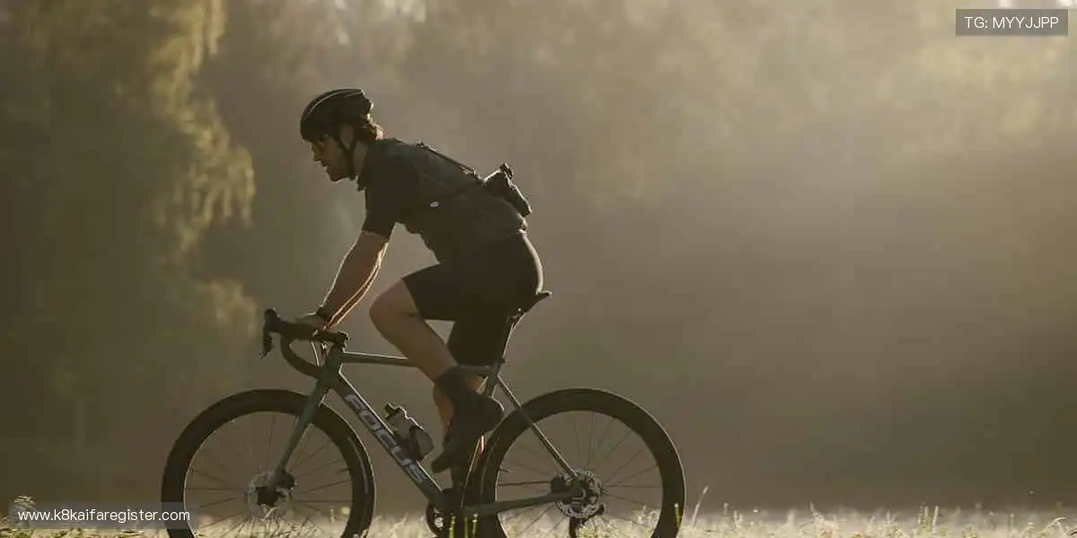 全场景网络游戏体验：智能匹配公平对局，新手大神都能尽兴